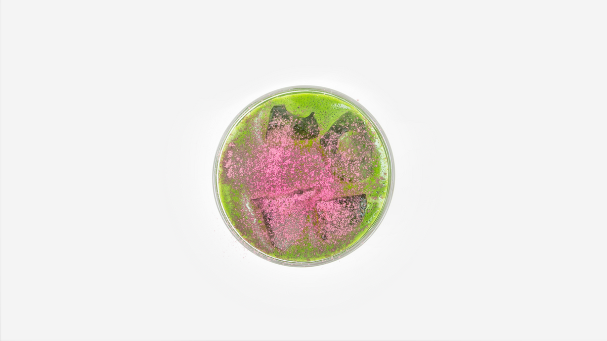 Strawberry Matcha
