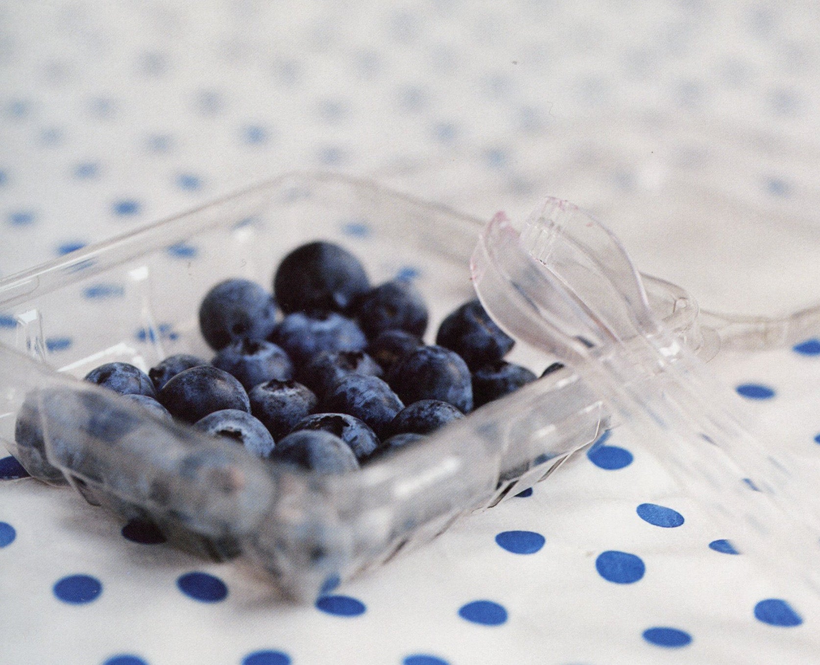 Blueberry & Tarragon